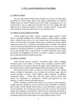 Referāts 'Ilzes Freimanes romāns "Viršu medus"', 8.