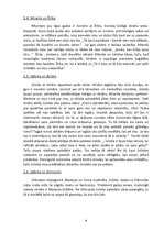 Referāts 'Ilzes Freimanes romāns "Viršu medus"', 9.