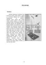 Referāts 'Ilzes Freimanes romāns "Viršu medus"', 12.