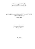 Referāts 'Dažādu apdrošināšanas akciju sabiedrību ekonomisko rādītāju analīze un salīdzinā', 1.