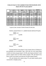 Referāts 'Eksports un tā atbalsts Latvijā', 19.