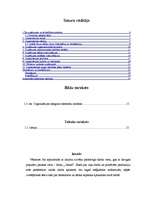 Referāts 'SIA "Intrad" darbības pilnveide', 2.