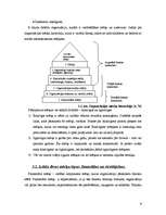 Referāts 'SIA "Intrad" darbības pilnveide', 8.