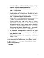 Referāts 'SIA "Intrad" darbības pilnveide', 24.