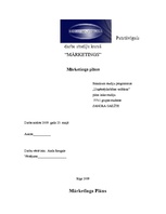 Konspekts 'Mārketinga plāns', 1.