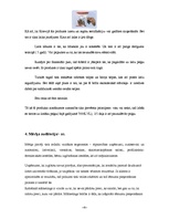 Konspekts 'Mārketinga plāns', 4.