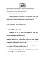 Konspekts 'Mārketinga plāns', 5.