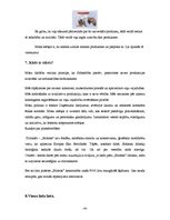 Konspekts 'Mārketinga plāns', 6.