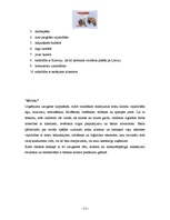 Konspekts 'Mārketinga plāns', 11.