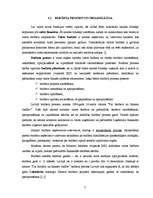 Referāts 'Latvijas valsts budžeta nodokļu ieņēmumu analīze', 7.