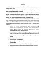 Diplomdarbs 'Mārketings, interneta mārketings, uzņēmuma virzīšana', 4.