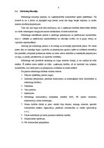 Diplomdarbs 'Mārketings, interneta mārketings, uzņēmuma virzīšana', 6.