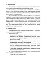 Diplomdarbs 'Mārketings, interneta mārketings, uzņēmuma virzīšana', 7.