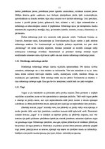 Diplomdarbs 'Mārketings, interneta mārketings, uzņēmuma virzīšana', 11.