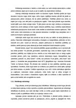 Diplomdarbs 'Mārketings, interneta mārketings, uzņēmuma virzīšana', 12.