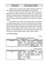 Diplomdarbs 'Mārketings, interneta mārketings, uzņēmuma virzīšana', 17.