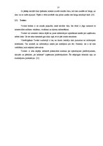 Diplomdarbs 'Mārketings, interneta mārketings, uzņēmuma virzīšana', 27.