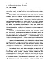 Diplomdarbs 'Mārketings, interneta mārketings, uzņēmuma virzīšana', 28.