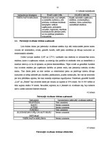 Diplomdarbs 'Mārketings, interneta mārketings, uzņēmuma virzīšana', 41.