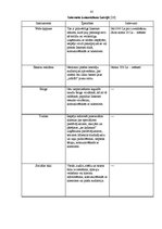 Diplomdarbs 'Mārketings, interneta mārketings, uzņēmuma virzīšana', 45.