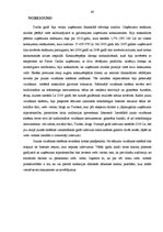 Diplomdarbs 'Mārketings, interneta mārketings, uzņēmuma virzīšana', 48.