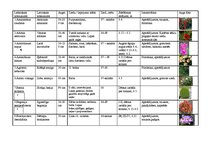 Konspekts 'Viengadīgās puķes', 1.