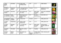 Konspekts 'Viengadīgās puķes', 2.