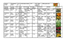 Konspekts 'Viengadīgās puķes', 3.