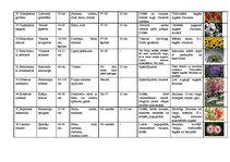 Konspekts 'Viengadīgās puķes', 4.