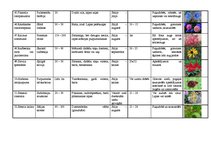 Konspekts 'Viengadīgās puķes', 6.