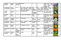 Konspekts 'Viengadīgās puķes', 7.