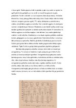 Referāts 'Nevienmērīga dažādu ķermeņa daļu attīstība. Ķermeņa daļu proporciju attiecību iz', 3.