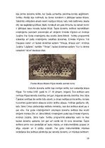 Referāts 'Dziesmu svētku aizsākumi un mūsdienas', 10.