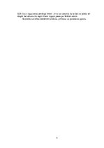 Biznesa plāns 'Ražošanas ceha biznesa plāns', 8.