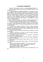 Biznesa plāns 'Ražošanas ceha biznesa plāns', 21.