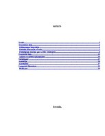 Referāts 'Rūdolfa Blaumaņa noveļu "Salna pavasarī" un "Purva bridējs" ideju aktualitāte šo', 1.