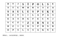 Konspekts 'Tematiskā nodarbība 5-6 g., tēma “Augu dzīves cikls. Zirņi, sīpoli, saulespuķe”', 10.