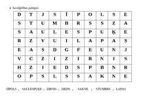 Konspekts 'Tematiskā nodarbība 5-6 g., tēma “Augu dzīves cikls. Zirņi, sīpoli, saulespuķe”', 11.