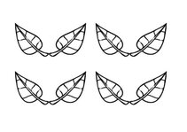 Konspekts 'Tematiskā nodarbība 5-6 g., tēma “Augu dzīves cikls. Zirņi, sīpoli, saulespuķe”', 13.