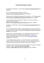 Paraugs 'Studiju programmas "Surdotulks" absolventu karjeras izvēle', 16.