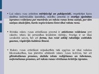 Prezentācija 'Rakstu runas vispārīgs raksturojums un nosacījumi tās attīstībai', 6.