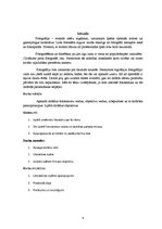 Referāts 'Fotoaparāti', 4.