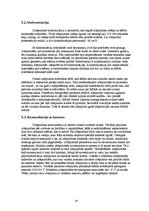 Referāts 'Fotoaparāti', 14.