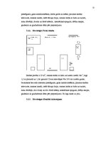 Prakses atskaite 'Divu zvaigžņu viesnīcas dokumentācija', 11.