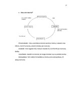 Prakses atskaite 'Divu zvaigžņu viesnīcas dokumentācija', 27.