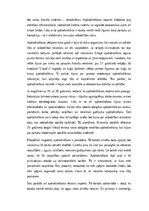 Eseja 'Apdrošināšana kā drošības un atbildības mehānisms sabiedrībā', 2.