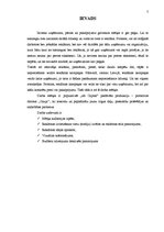 Referāts 'Portatīvo datoru "Gauja" reklāmas kampaņa', 2.