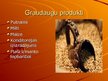 Prezentācija 'Pasaules graudkopība', 7.