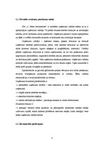 Prakses atskaite 'SIA "O.Bāres būvmateriāli". Analīze un uzskaite', 9.