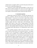 Prakses atskaite 'Viesnīca "Grand Palace Hotel"', 13.